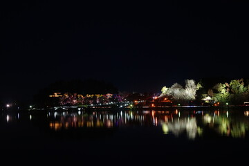 Fototapeta premium 千波湖の夜景