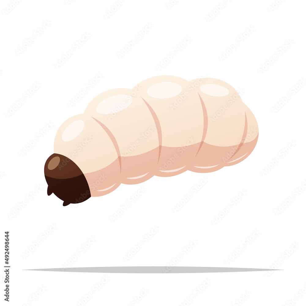 Wall mural Maggot or grub larva vector isolated illustration