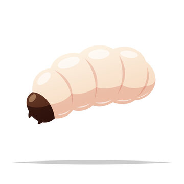Maggot or grub larva vector isolated illustration