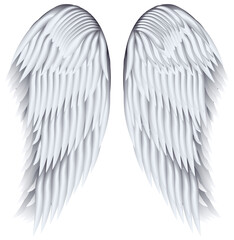 Obraz premium Wings, file EPS.8 illustration.