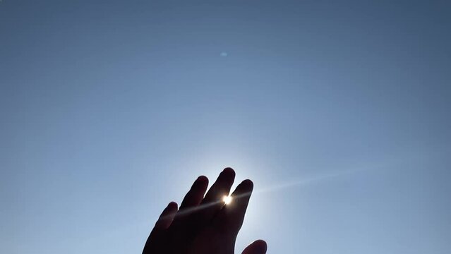 太陽にかざす手