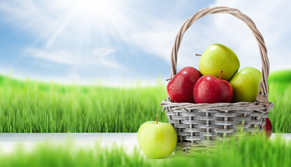 Colorful ripe apple fruits in basket