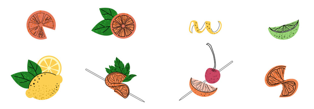 Set of fruit flat illustration. Cocktail garnish. Vector illustration of citrus