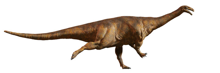 Plateosaurus, dinosaur from the Late Triassic period isolated on white background © dottedyeti