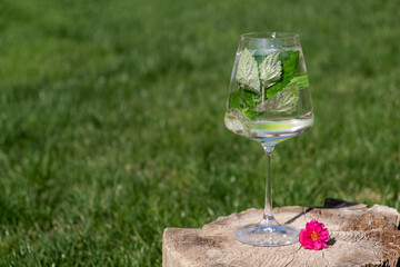 Glass with mint leaves and lime slices.