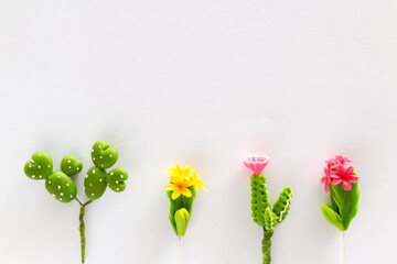 Miniature cactus on white paper background