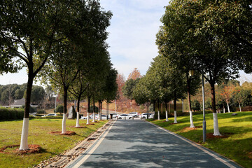 park in the city