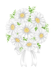 White gerbera bouquet drawn in digital watercolor