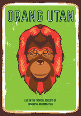 Caracal face vector iilustration in poster vintage style, perfect for tshirt design and wall decor © ari