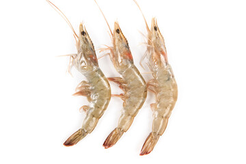fresh raw white shrimps or prawns isolated on white background