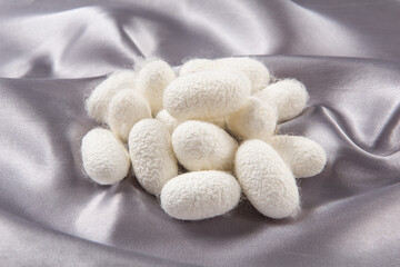The silkworm cocoon on gray silk fabric.