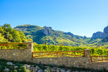Vineyard and Greek Monastery on the Rock