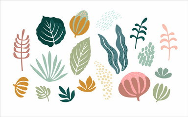 Fototapeta na wymiar Vector illustrations of abstract flowers and leaves. Clipart, isolated elements.