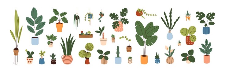 Potted plants set. Interior houseplants in planters, baskets, flowerpots. Home indoor green decor. Different succulents, cacti, foliage. Flat graphic vector illustrations isolated on white background