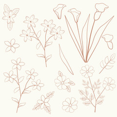 Jasmine Cosmos Daisy Arum Lily Flower Floral Leaf Outline Decoration Element