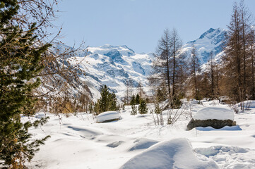 Morteratsch, Morteratschgletscher, Gletscher, Gletscherpfad, Gletscherweg, Piz Bernina, Bellavista,...