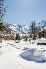 Morteratsch, Morteratschgletscher, Gletscher, Gletscherpfad, Gletscherweg, Piz Bernina, Bellavista, Bernina, Berninapass, Engadin, Alpen, Graubünden, Winter, Winterwanderweg, Langlauf, Schweiz