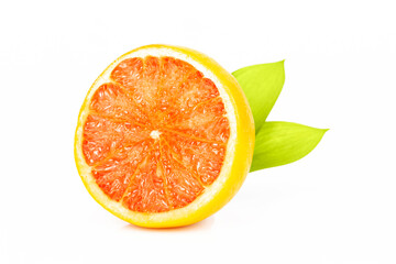 orange on a white background