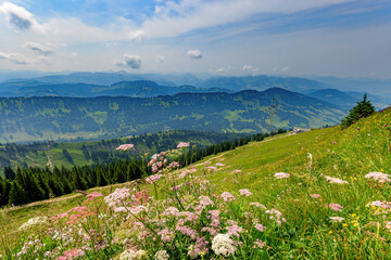 View from the Hochgrat, a summit in the alps near Oberstaufen in Allgäu, Bavaria, Germany.