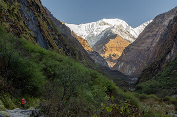 mountain valley with the view of Annapurna peak in Annapurna region Nepal