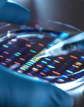 Scientist pipetting sample into tray for DNA testing