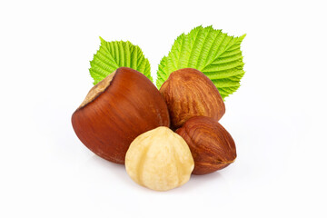 hazelnuts on a white background