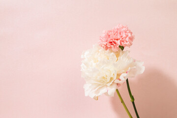 Fototapeta na wymiar flower on pink background