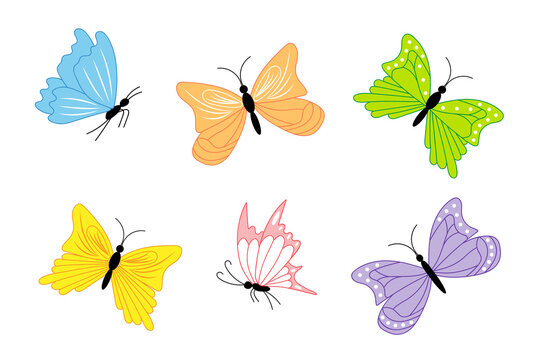 set of colored butterflies 