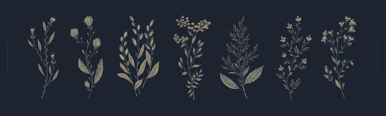 Large set of hand-drawn ornamental herbs on a black background. Botanical retro image for a floral background, vector illustration. Design element for postcard, poster, cover, invitation.