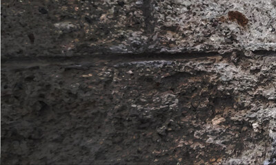wood background