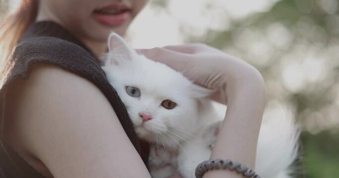 Domestic cat with complete heterochromia. White cat with different colored eyes hugged by girl. Heterochromia is a difference in coloration.