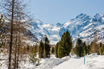 Morteratsch, Morteratschgletscher, Gletscher, Gletscherpfad, Gletscherweg, Piz Bernina, Bellavista, Bernina, Berninapass, Engadin, Alpen, Graubünden, Winter, Winterwanderweg, Langlauf, Schweiz