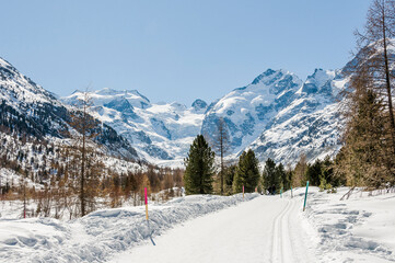 Morteratsch, Morteratschgletscher, Gletscher, Gletscherpfad, Gletscherweg, Piz Bernina, Bellavista, Bernina, Berninapass, Engadin, Alpen, Graubünden, Winter, Winterwanderweg, Langlauf, Schweiz