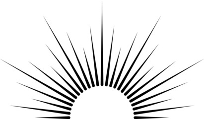 Obraz premium Retro sunburst badge. Beam light vintage logo