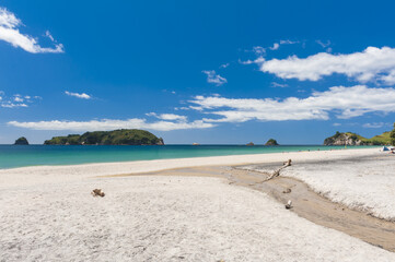 Hahei Beach at Coromandel Peninsula on New Zealand - 492525258