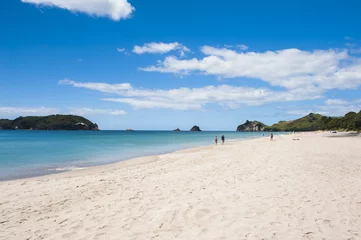 Deurstickers Hahei Beach at Coromandel Peninsula on New Zealand © Fyle