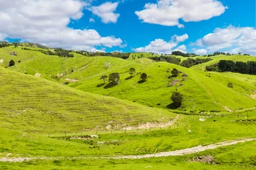 Deurstickers Hills of the New Zealand © Fyle