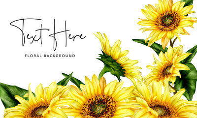 beautiful sun flower floral background template