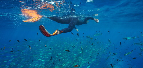 Man snorkeling with a shoal of fish in the sea, underwater Mediterranean sea, France