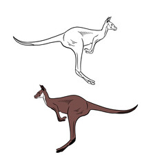 Illustration for a coloring book in color and black and white. Drawing of a kangaroo on a white isolated background. High quality illustration