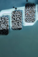 Flat lay of fresh organic juicy blueberries in a box on blue background, hard sun light, top view, copy space. Concept of healthy and dieting eating , antioxidant, vitamin, summer food.