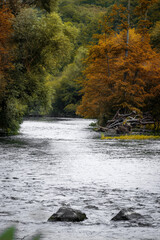 Paysage de Suisse Normande, l'Orne en Automne