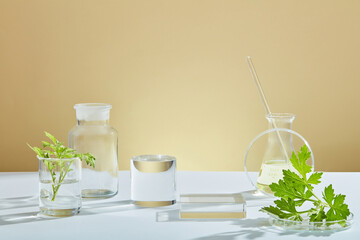 Mugwort decorated with transparent podium and beaker test tube in orange background with blank space for mugwort experiment advertising