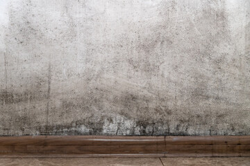 Mold on a white wall, background, copy space