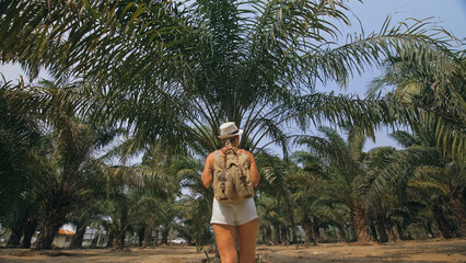 Woman tourist with plait walks looking around at growing young trees with lush leaves at oil palm...