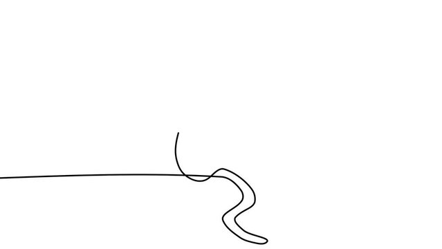 Self draw animation Cat with Ears. Hand drawn black line animation of Cat on white background. Self-drawing simple animation. Continuous drawing of one line Kitten. 4K footage