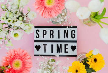 Welcome spring sign on a pink background with plants and flowers