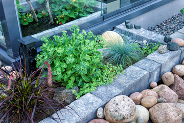 A modern garden with a variety of plants and paving stones. The planting basin has a black outdoor...