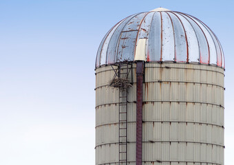 Raven's nest on a silo