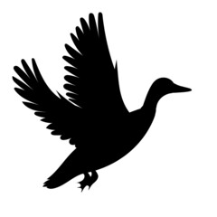 flying duck silhouette, isolated vector
